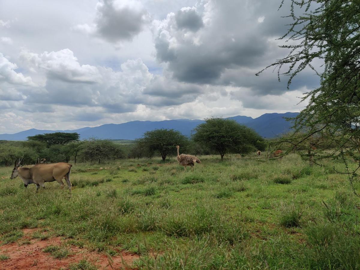 Oldonyo Orok Lodge Kajiado Exterior foto