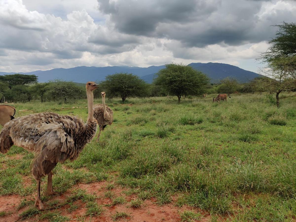 Oldonyo Orok Lodge Kajiado Exterior foto